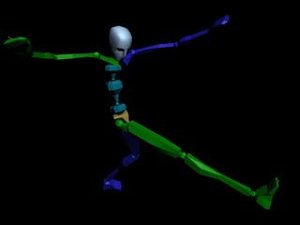 Kung Fu Attack Low Kick 572