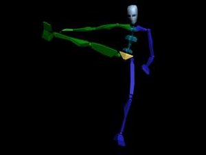 Kung Fu Attack Up Kick 435