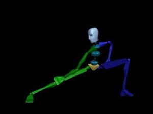 Kung Fu Pose Lower 625