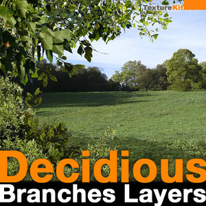 Decidious Branches Layers