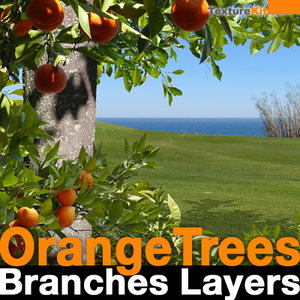 Orange Trees Branches Layers
