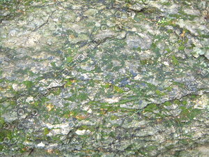 Mossy Wall01