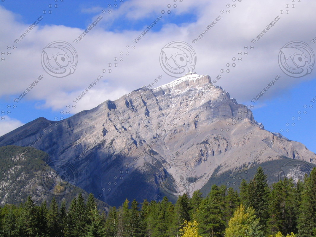 Stock JPEG mountain tree line