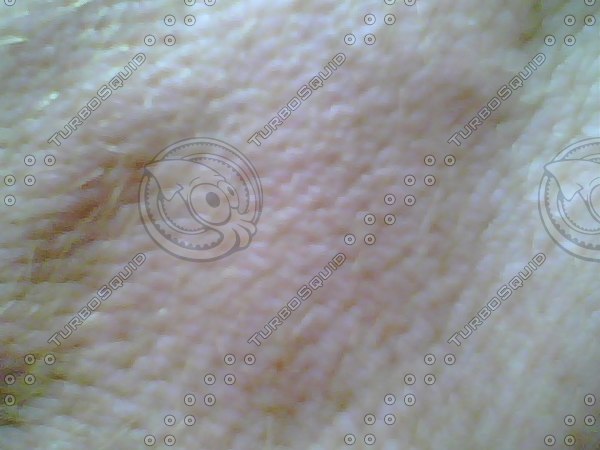 Skin Bitmap Texture Windows Bitmap Skin