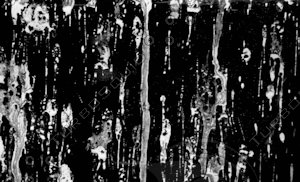 Water Stains