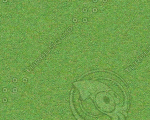 Gras texture #01 - tileable