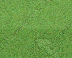 Gras texture #02 - tileable