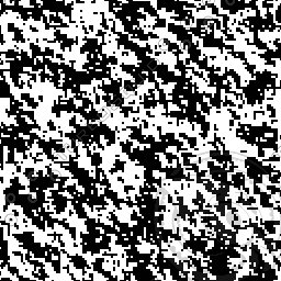 black_white.bmp