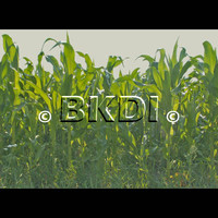 Corn_01