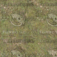 tileable grass texture