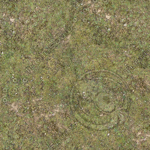 tileable grass texture