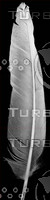 Feather 4
