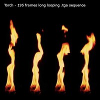 Burning torch footage