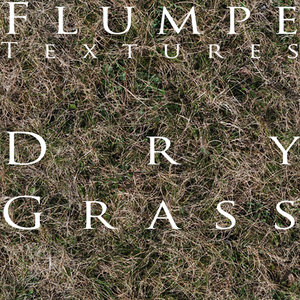 Grass - Dry