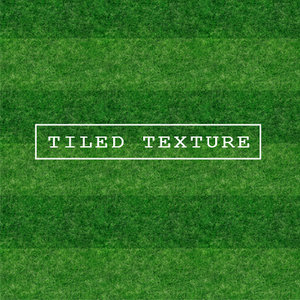 Grass Texture #12