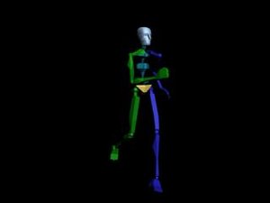 Locomotion Run 005