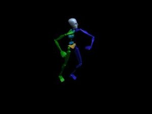 Locomotion Run 074