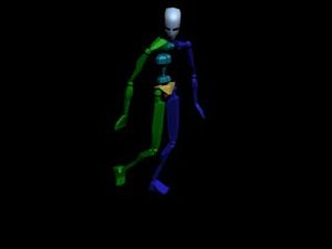 Locomotion Run 140