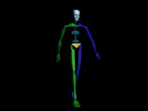 Locomotion Walk 001