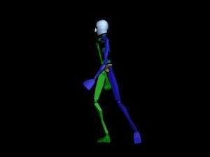 Locomotion Walk 003