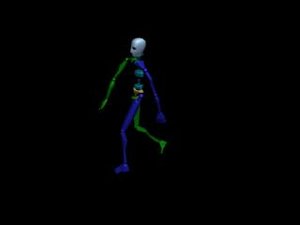 Locomotion Walk 064