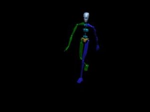 Locomotion Walk 070