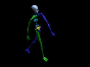 Locomotion Walk 147