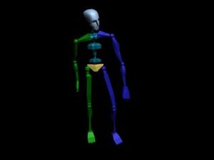 Locomotion Walk 148