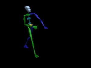 Locomotion Walk 300