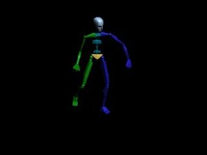 Locomotion Walk 312