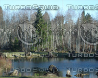 pond.jpg