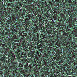 rosemary1_256.jpg