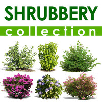 shrubbery collection