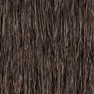 thatch 2f.jpg