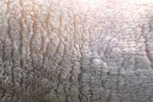 wool01.JPG