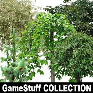 TREES_COLLECTION_01