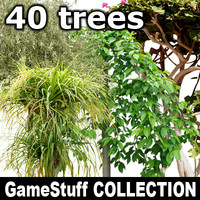 Collection_trees_Full_P_01