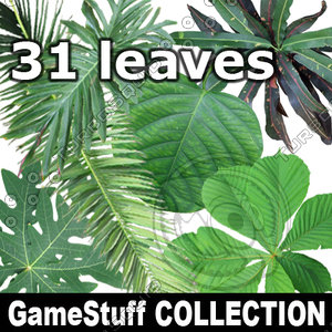 COLLECTION_LEAVES
