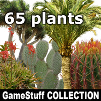 Collection_South_Plants_P_o1