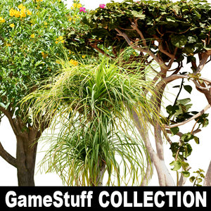 Collection_tree_tropic_01