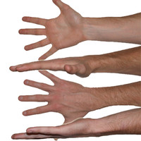 Hand Texture