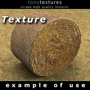 Hay Round Bale Texture