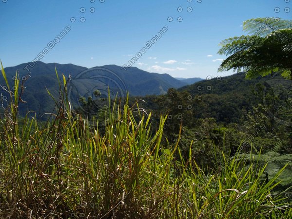 Stock Jpeg Mountains Trees Valleys