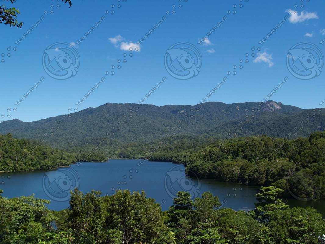  https://static.turbosquid.com/Preview/2014/08/01__16_02_20/P8041084.jpgb0163718-ce4a-4b9e-b192-e0b2b2336414Original.jpg