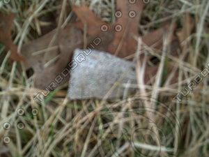 PICT0892.JPG