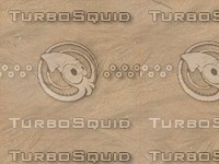 Seamless Sand Texture