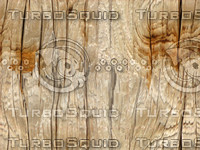 Telephone Pole.jpg