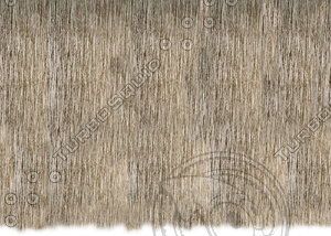 Thatched Roof Texture