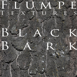 Bark - Black