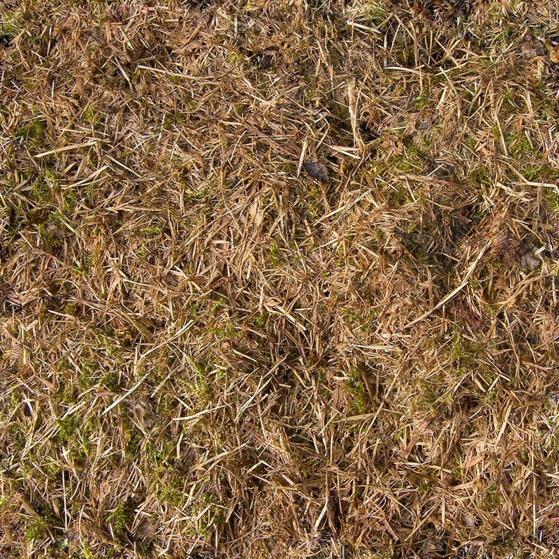 Texture JPEG game wood green